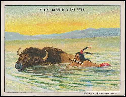 Killing Buffalo In The River